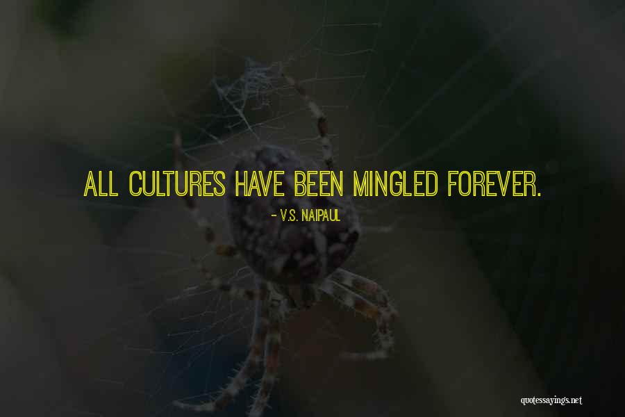Vastas Pizzeria Quotes By V.S. Naipaul Vastas Pizzeria Quotes By V.S. Naipaul
