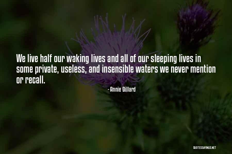 Vasul Fantoma Quotes By Annie Dillard Vasul Fantoma Quotes By Annie Dillard