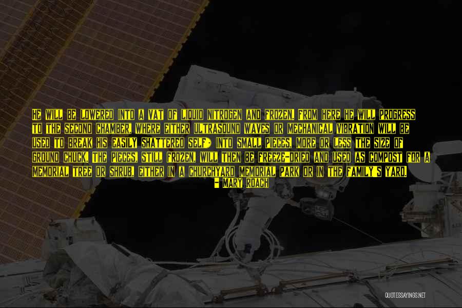 Vat Quotes By Mary Roach Vat Quotes By Mary Roach