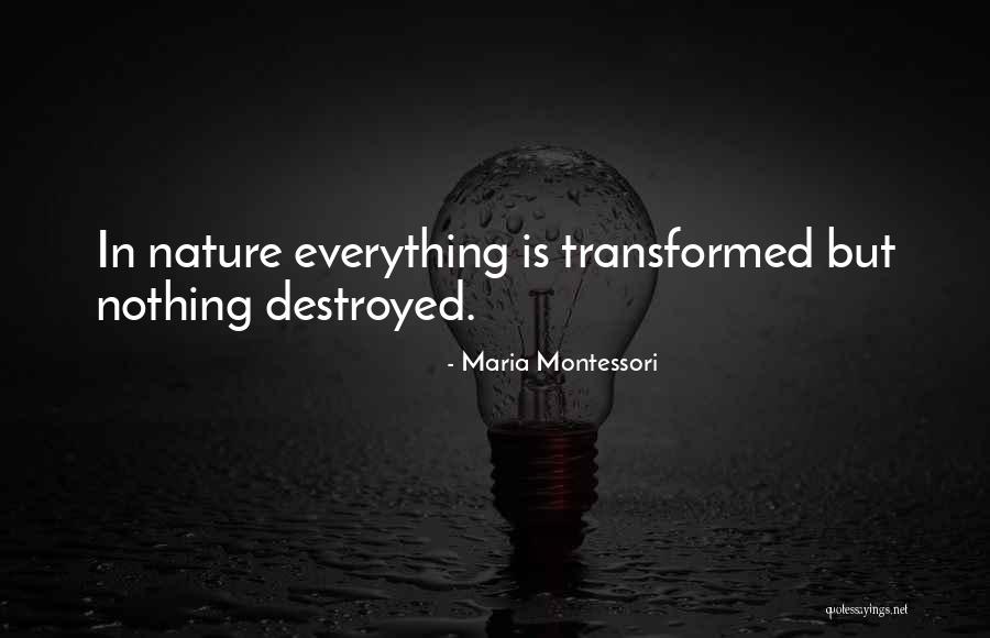 Vatas Quotes By Maria Montessori Vatas Quotes By Maria Montessori