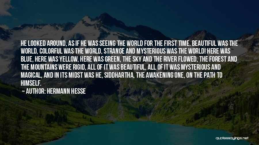 Vato Quotes By Hermann Hesse