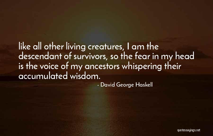 Vatosan Szinonima Quotes By David George Haskell Vatosan Szinonima Quotes By David George Haskell