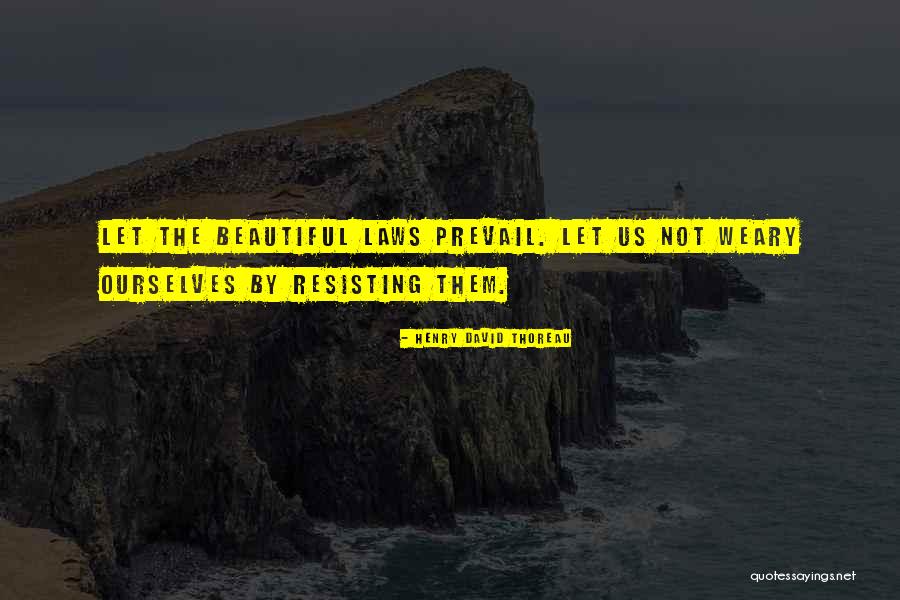 Vatosan Szinonima Quotes By Henry David Thoreau