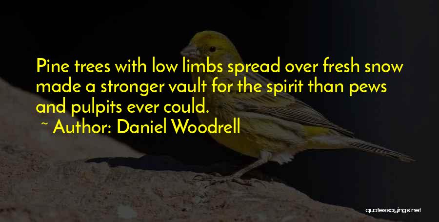 Vault Quotes By Daniel Woodrell