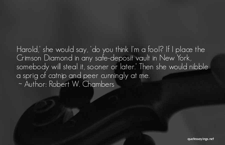 Vault Quotes By Robert W. Chambers