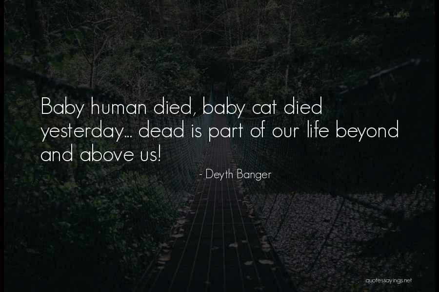 Vaulter Gun Quotes By Deyth Banger Vaulter Gun Quotes By Deyth Banger