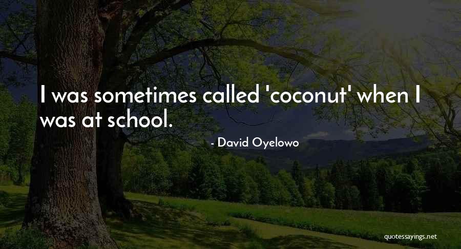 Vaulter Succession Quotes By David Oyelowo Vaulter Succession Quotes By David Oyelowo