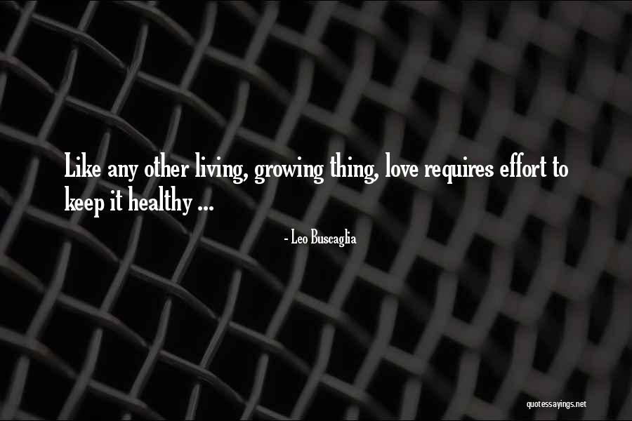 Vaverka Miroslav Quotes By Leo Buscaglia Vaverka Miroslav Quotes By Leo Buscaglia