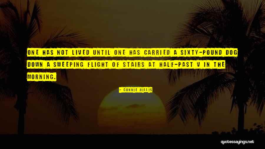 Vayase Quotes By Connie Willis Vayase Quotes By Connie Willis