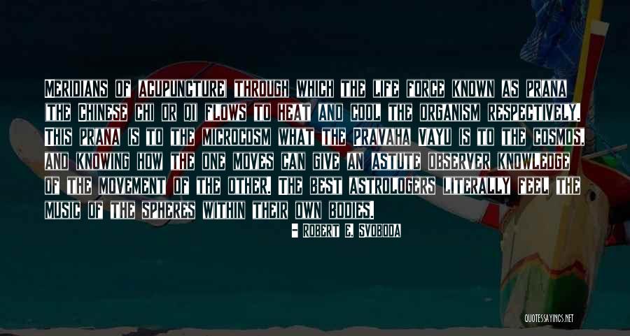 Vayu Quotes By Robert E. Svoboda Vayu Quotes By Robert E. Svoboda