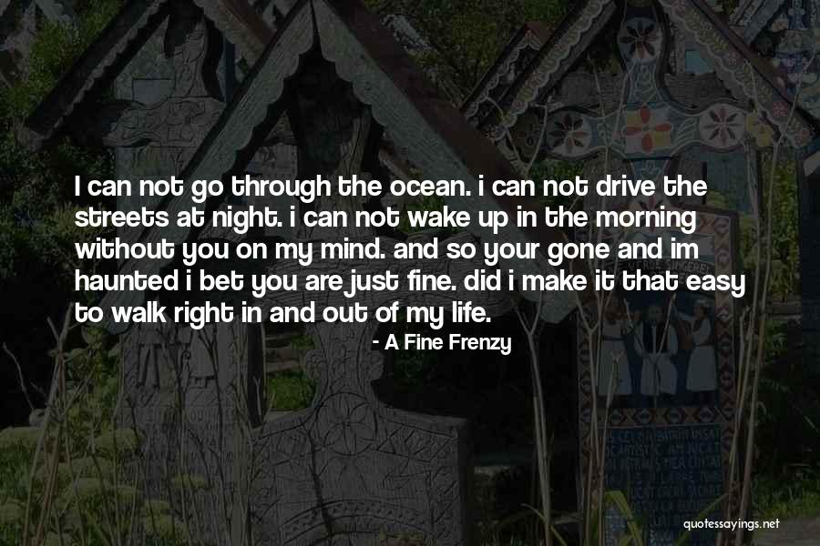 Vazduh Sinonim Quotes By A Fine Frenzy Vazduh Sinonim Quotes By A Fine Frenzy