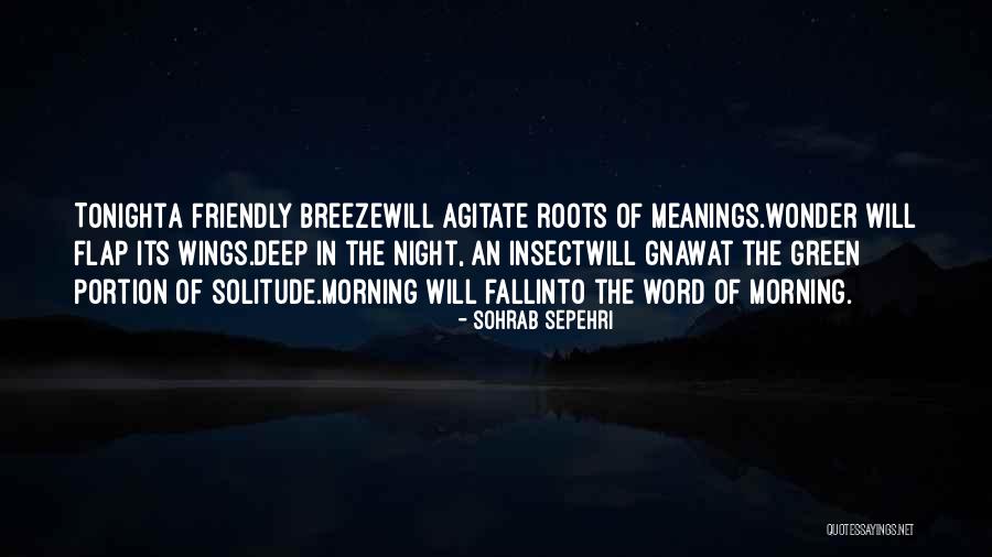 Vazute Quotes By Sohrab Sepehri Vazute Quotes By Sohrab Sepehri