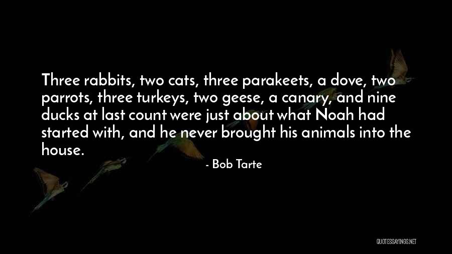 Vba Output Quotes By Bob Tarte Vba Output Quotes By Bob Tarte