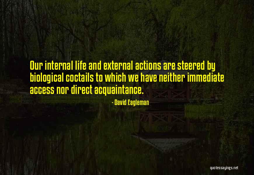 Vcsu Quotes By David Eagleman Vcsu Quotes By David Eagleman