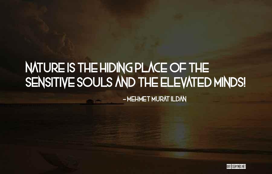Veaceslav Moraru Quotes By Mehmet Murat Ildan
