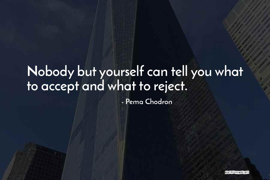 Vecchio Trees Quotes By Pema Chodron Vecchio Trees Quotes By Pema Chodron