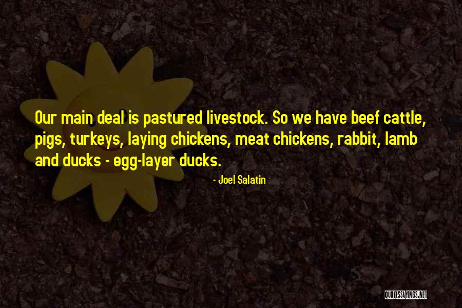 Vecchiola Chile Quotes By Joel Salatin Vecchiola Chile Quotes By Joel Salatin