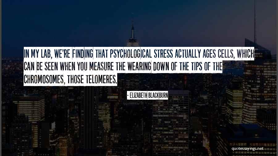 Vecinita Quotes By Elizabeth Blackburn Vecinita Quotes By Elizabeth Blackburn