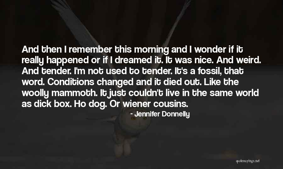 Vecinul Joc Quotes By Jennifer Donnelly Vecinul Joc Quotes By Jennifer Donnelly