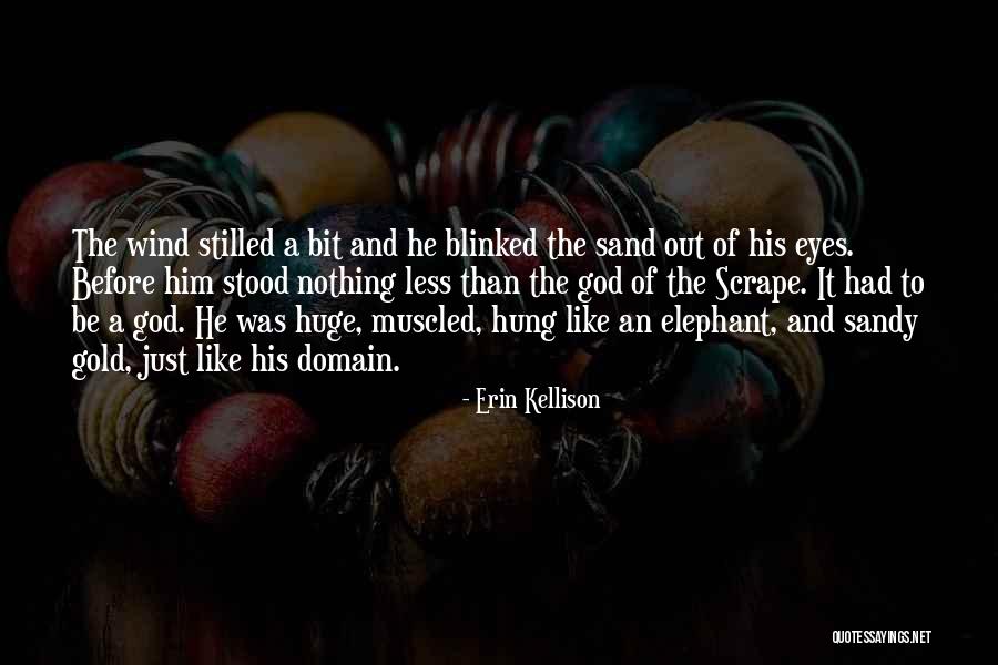 Vedecci Quotes By Erin Kellison Vedecci Quotes By Erin Kellison