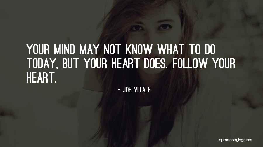 Vedral Husker Quotes By Joe Vitale