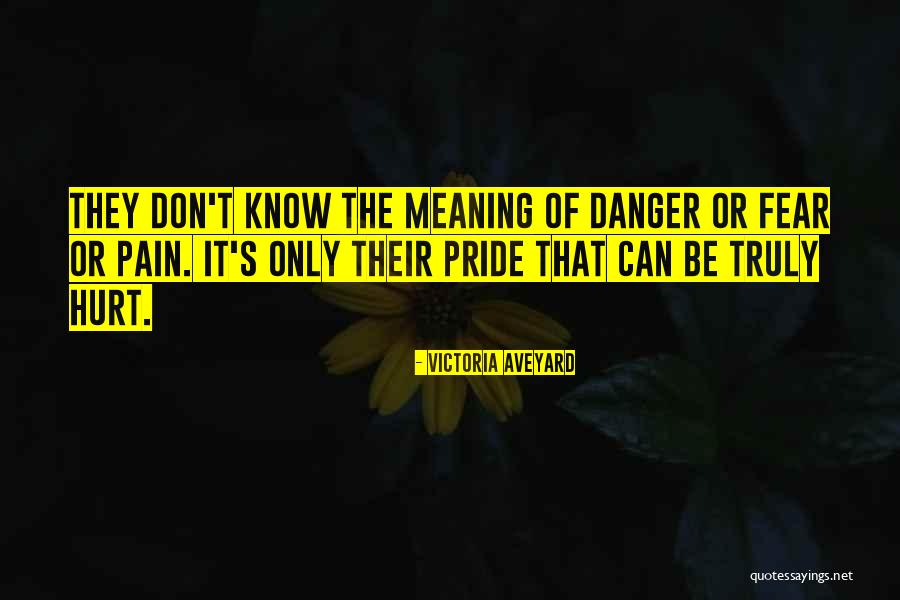 Vedran Corluka Quotes By Victoria Aveyard Vedran Corluka Quotes By Victoria Aveyard
