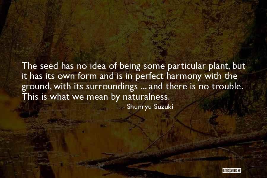 Vedres Joe Quotes By Shunryu Suzuki Vedres Joe Quotes By Shunryu Suzuki