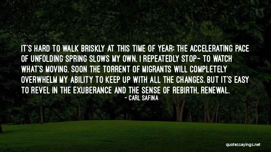 Vedri Gromobran Quotes By Carl Safina Vedri Gromobran Quotes By Carl Safina