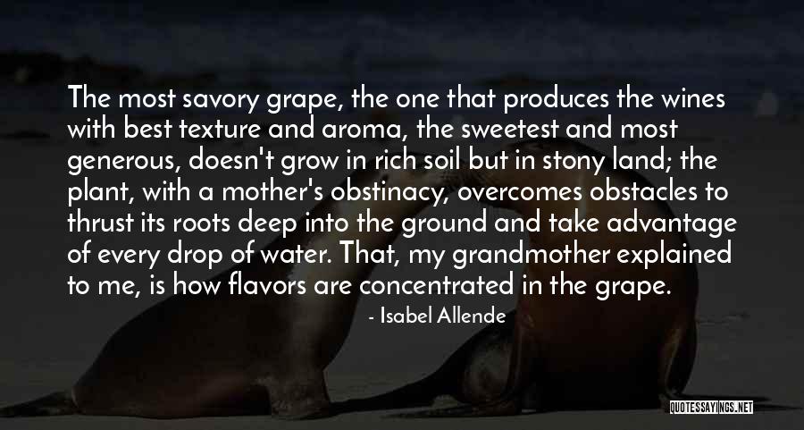 Veelenturf Quotes By Isabel Allende Veelenturf Quotes By Isabel Allende
