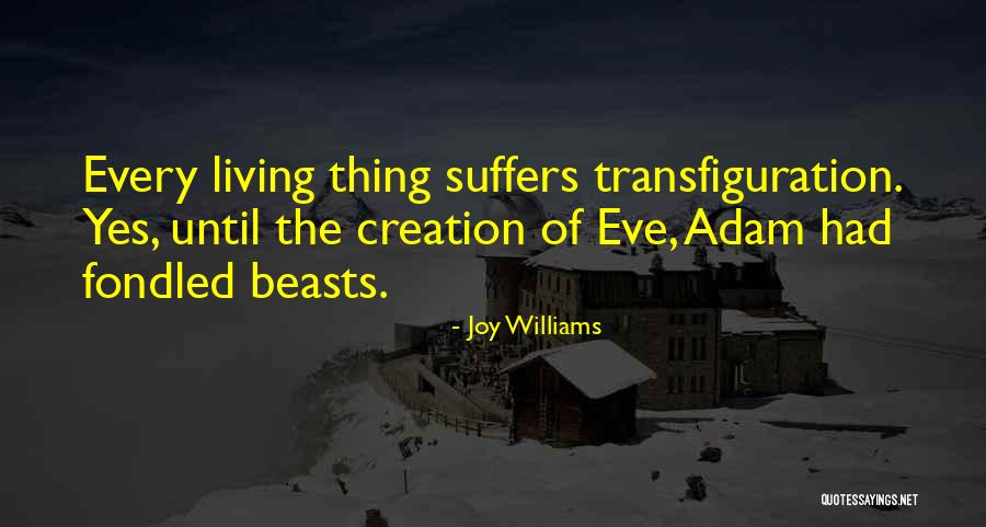 Veelenturf Quotes By Joy Williams Veelenturf Quotes By Joy Williams