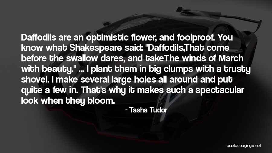 Veels Christmas Quotes By Tasha Tudor Veels Christmas Quotes By Tasha Tudor