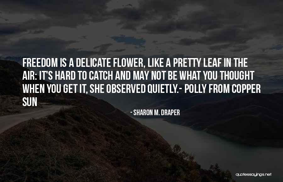 Veep Seasons Quotes By Sharon M. Draper Veep Seasons Quotes By Sharon M. Draper