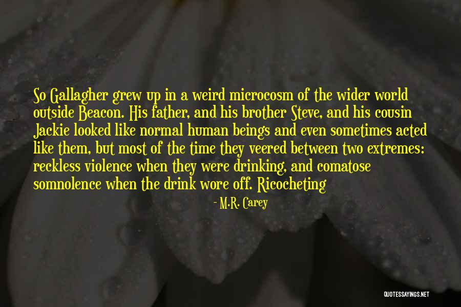 Veered Off Course Quotes By M.R. Carey Veered Off Course Quotes By M.R. Carey
