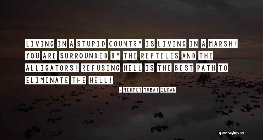 Vefa Bozacisi Quotes By Mehmet Murat Ildan Vefa Bozacisi Quotes By Mehmet Murat Ildan