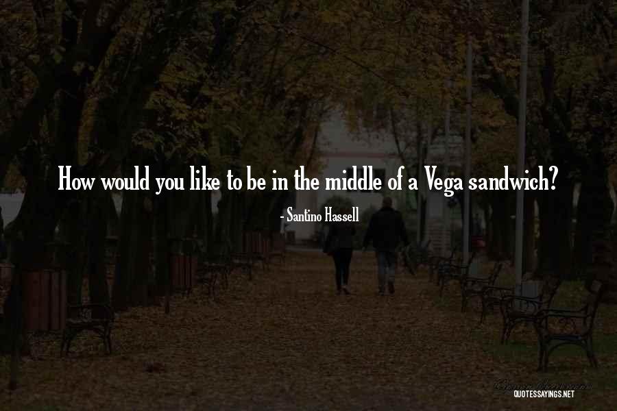 Vega Sandwich Quotes By Santino Hassell Vega Sandwich Quotes By Santino Hassell