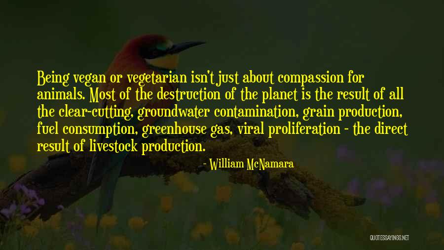 Vegan Quotes By William McNamara