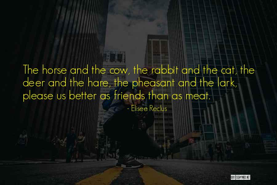 Veganism Quotes By Elisee Reclus Veganism Quotes By Elisee Reclus