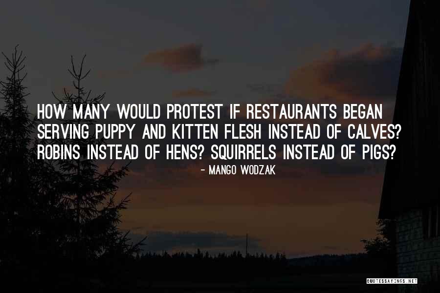 Veganism Quotes By Mango Wodzak Veganism Quotes By Mango Wodzak