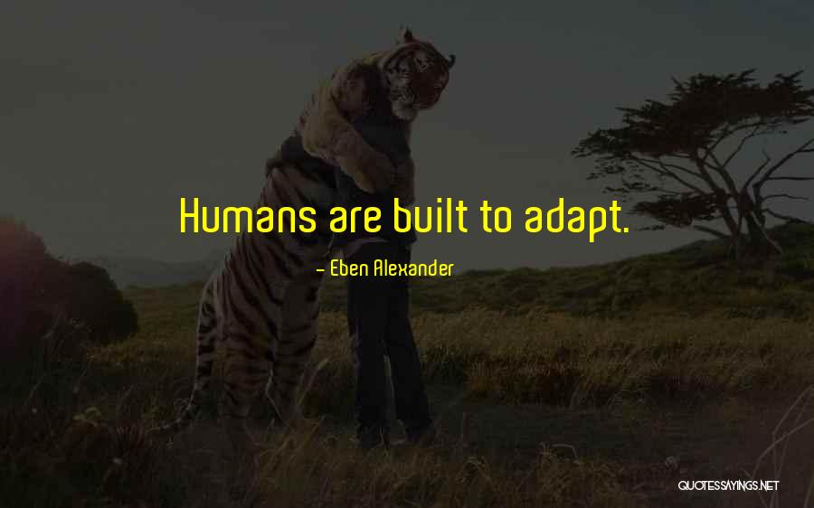 Vegeta Goku Quotes By Eben Alexander Vegeta Goku Quotes By Eben Alexander
