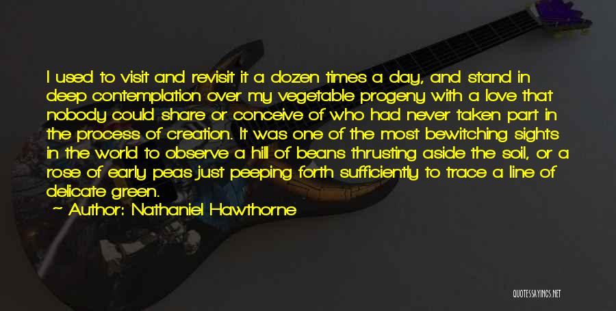 Vegetable Garden Love Quotes By Nathaniel Hawthorne