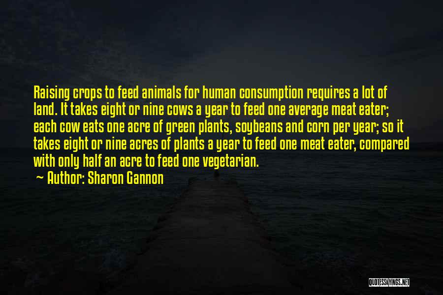 Vegetarian Vs Meat Eater Quotes By Sharon Gannon