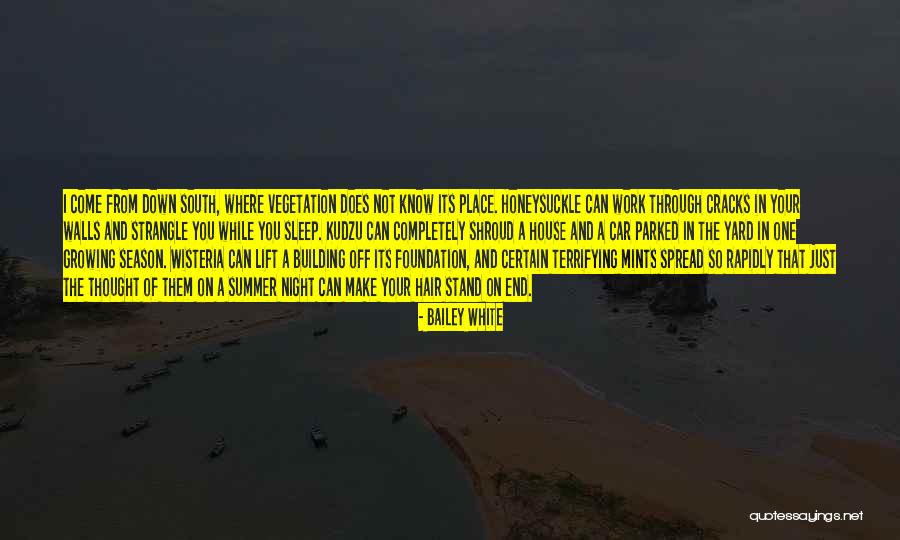 Vegetation Quotes By Bailey White Vegetation Quotes By Bailey White