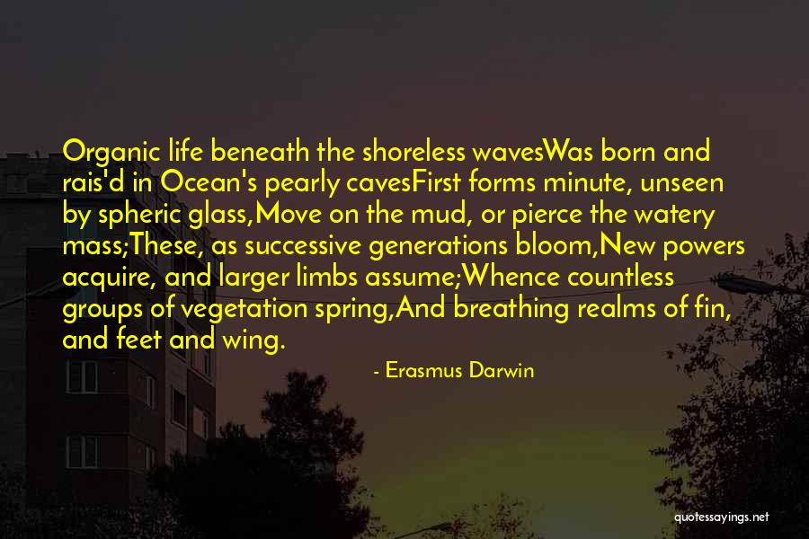 Vegetation Quotes By Erasmus Darwin Vegetation Quotes By Erasmus Darwin