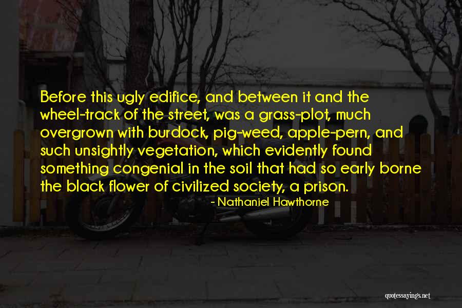 Vegetation Quotes By Nathaniel Hawthorne Vegetation Quotes By Nathaniel Hawthorne