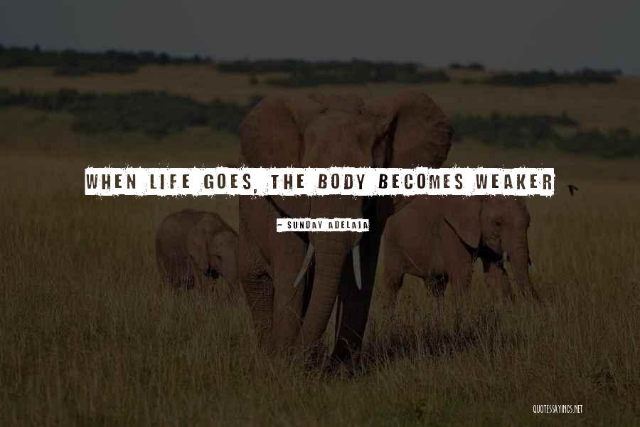 Vegnonveg Quotes By Sunday Adelaja Vegnonveg Quotes By Sunday Adelaja