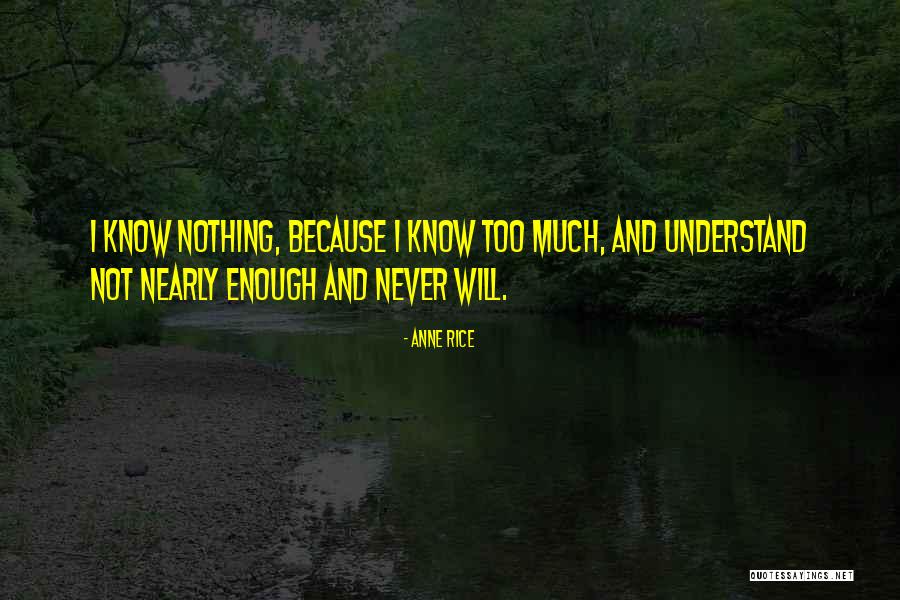 Vehicular Accident Quotes By Anne Rice Vehicular Accident Quotes By Anne Rice