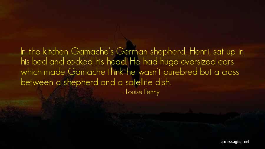 Veias Cavas Quotes By Louise Penny Veias Cavas Quotes By Louise Penny