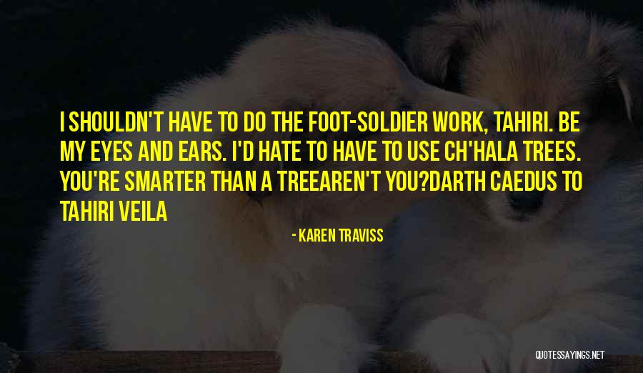 Veila Quotes By Karen Traviss Veila Quotes By Karen Traviss