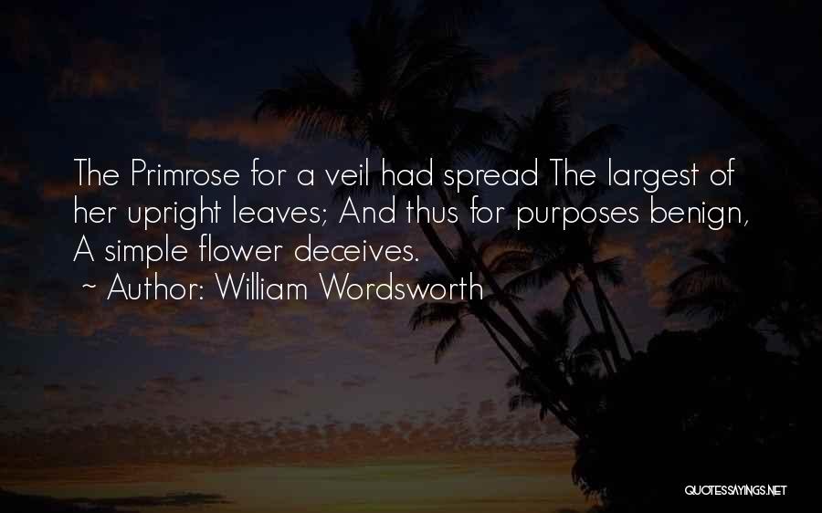 Veils Quotes By William Wordsworth
