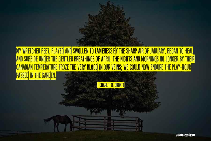 Veins And Blood Quotes By Charlotte Bronte Veins And Blood Quotes By Charlotte Bronte
